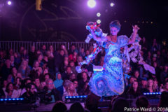 Photos by Patrice Ward (371/825)